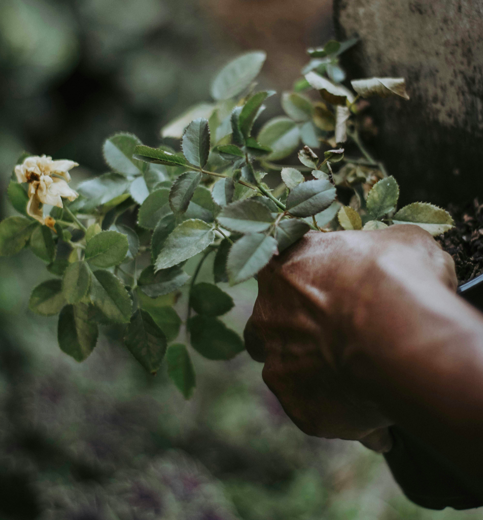 Maintenance & interventions